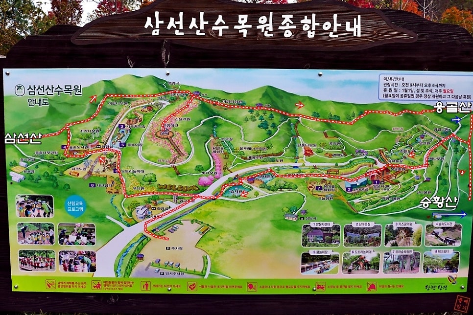 응골산 사진 6