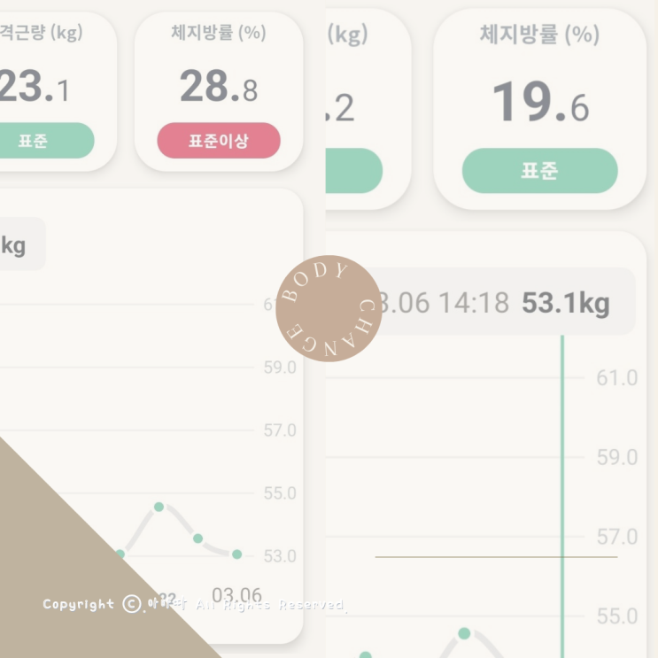  체지방줄이는법 발포비타민 챙겨먹는중