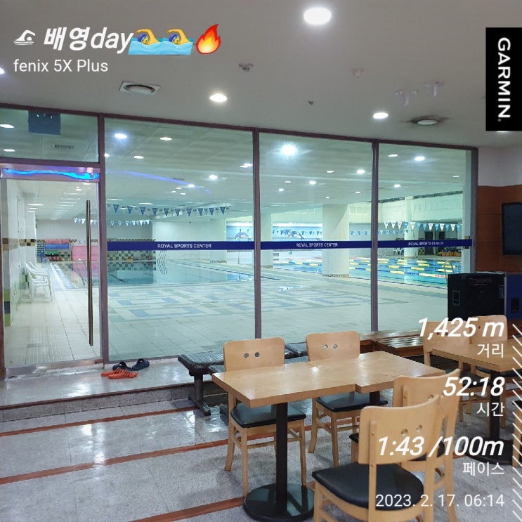  [수영일기] 2월 17일 배영은 잼있어!