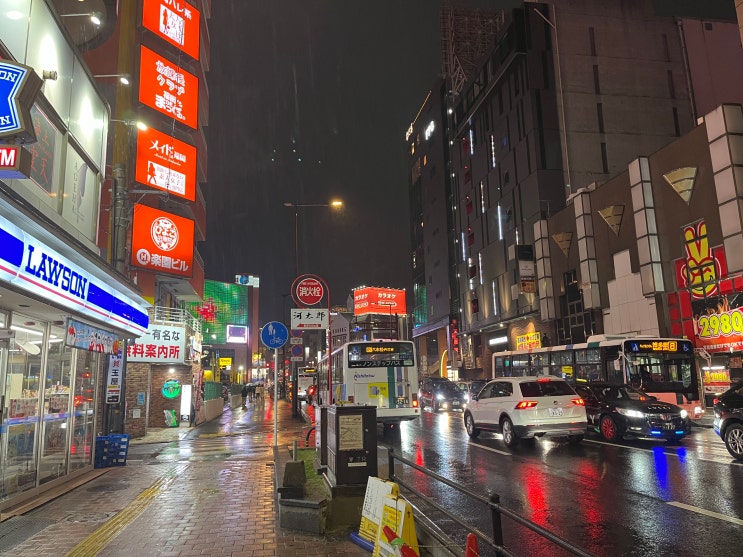  일본여행4일차 - 가고시마 돈키호테, 후쿠오카(텐진) 빅카메라