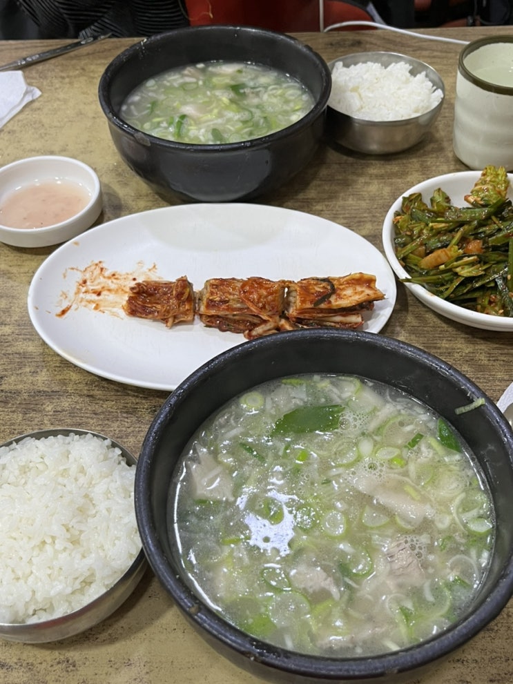 [본전돼지국밥] 부산역 돼지국밥 맛집_원조 부산 돼지국밥 | #부산역맛집 #부산돼지국밥 #부산맛집추천