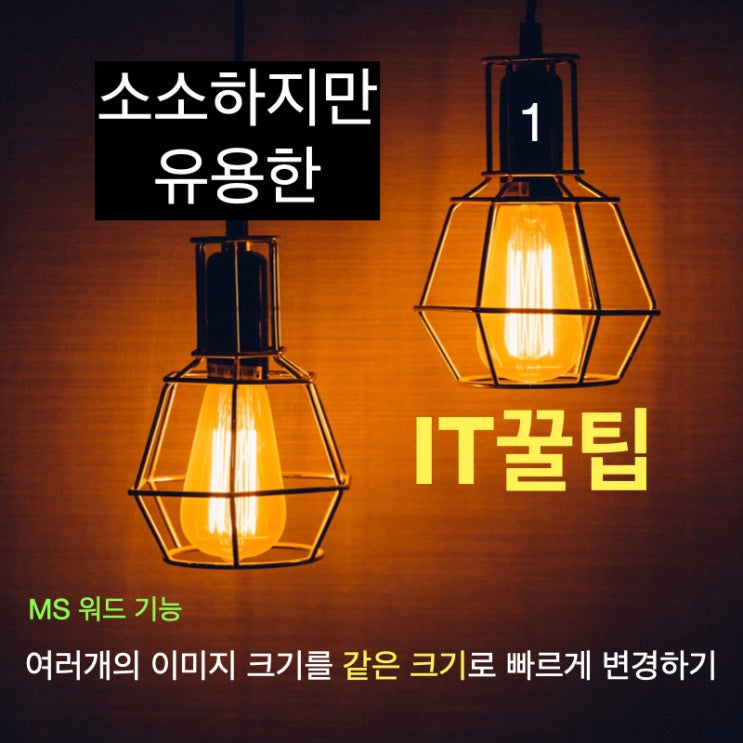 소소하지만 유용한 IT 꿀팁. MS워드에서 여러개의 이미지 크기를 같은크기로 변경하기(빠름빠름~~!!) 소소하지만 유용한 IT 꿀팁. MS워드에서 여러개의 이미지 크기를 같은크기로 변경하기(빠름빠름~~!!)