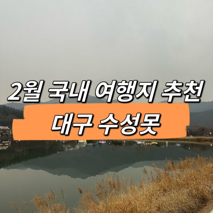  2월 국내여행지추천, 대구 수성못과 카페 BEST 3
