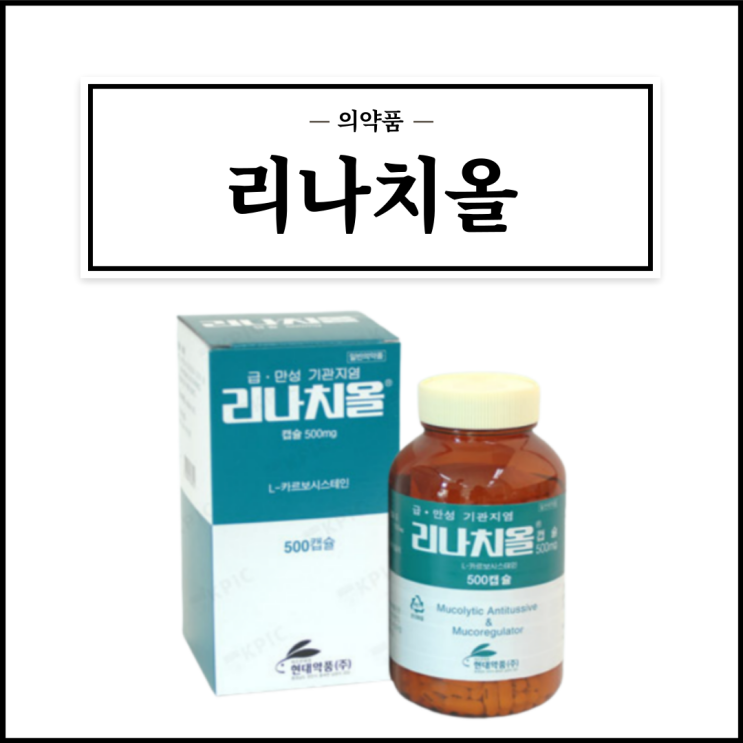 리나치올캡슐 500mg, 효능효과/복용법/부작용/주의사항 등 간단정리