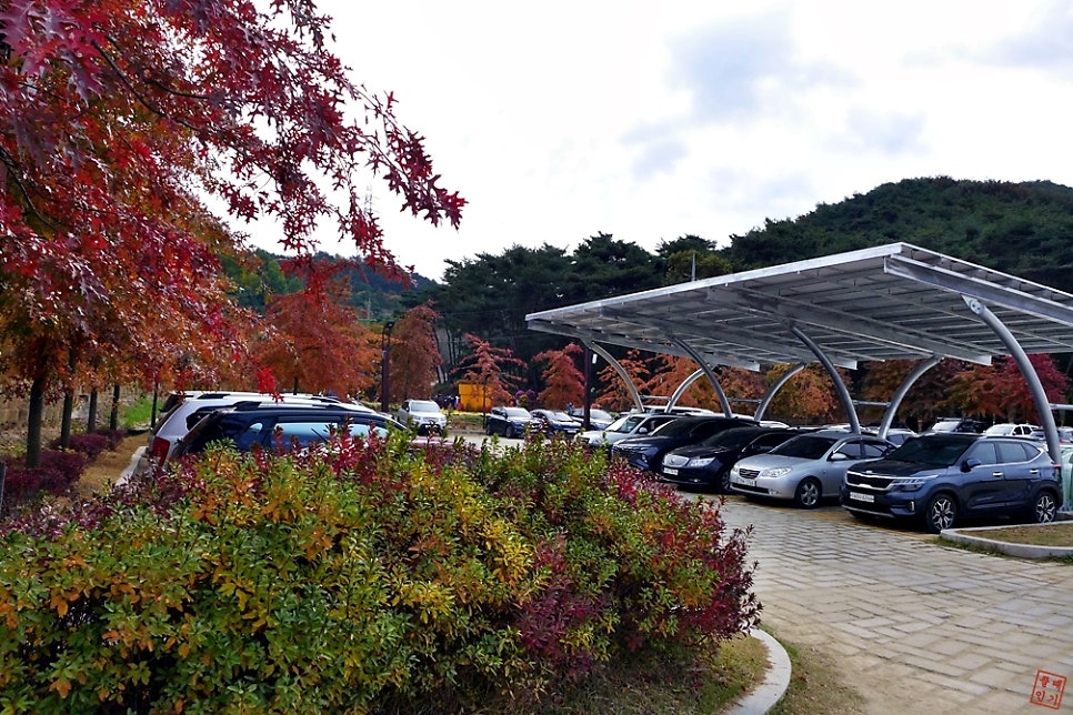 응골산 사진 4
