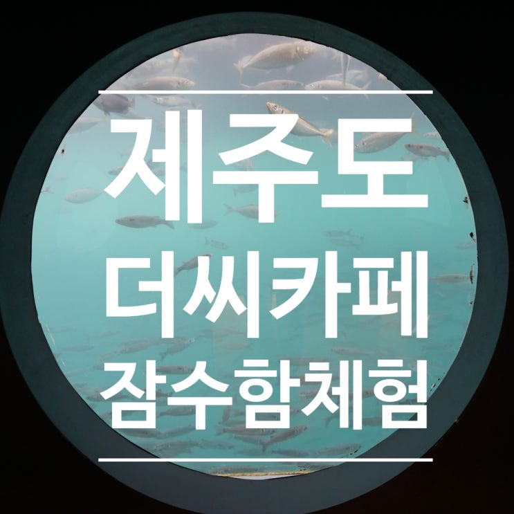  [제주도] 제주더씨카페- 잠수함 체험