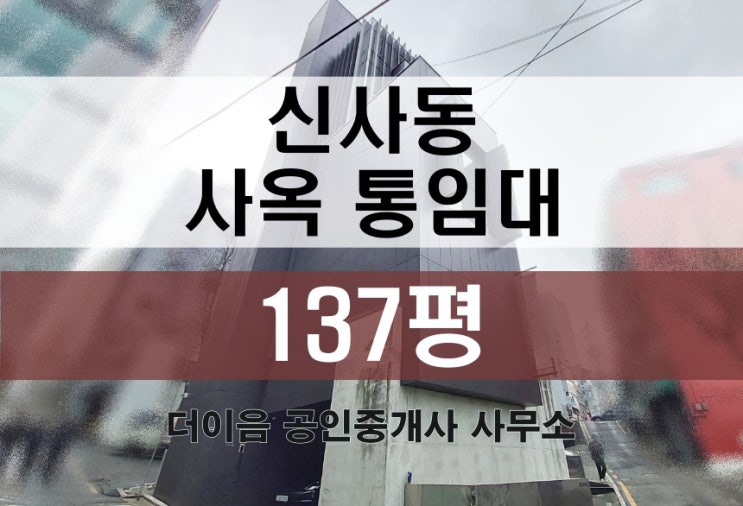  신사동 사옥 임대 137평, 강남 통임대 7층 건물