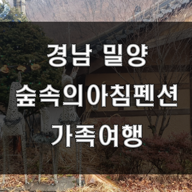  경남 밀양 키즈테마펜션 추천!! 단체 가족여행으로 가본 밀양 숲속의아침펜션
