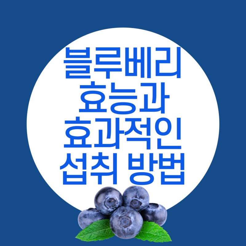 10가지 블루베리 효능