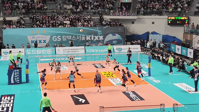 여자배구 직관후기 <b>흥국생명</b> vs <b>GS칼텍스</b>  - 장충체육관... 