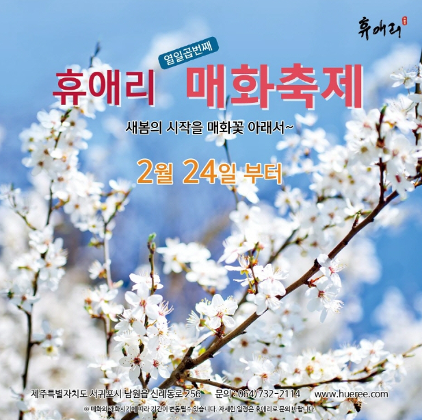  제주도 여행 코스 추천 : 휴애리 매화축제