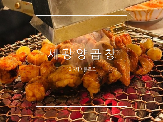 부산 서면 직접 구워주는 세광양대창 양볶음밥 대창 막창 특양 냉면 먹은후기 부산 서면 직접 구워주는 세광양대창 양볶음밥 대창 막창 특양 냉면 먹은후기