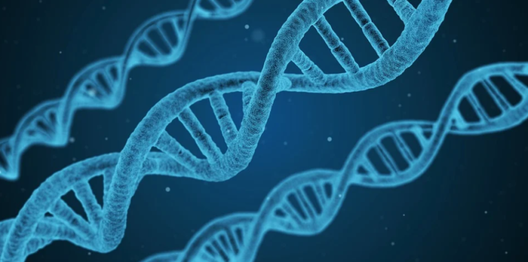 "모든 질병을 제거할 수 있는가?" 유전자 편집의 한계와 가능성.