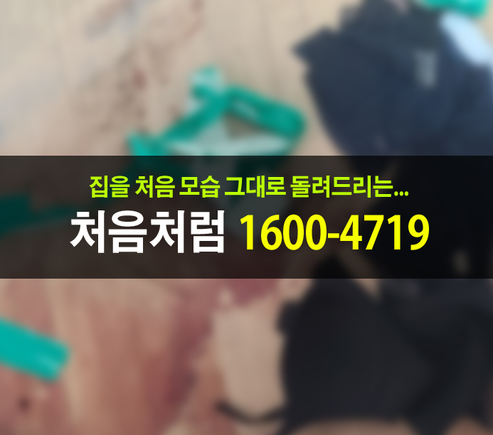  성남 고독사 청소와 특수청소로 집 원상복구하기