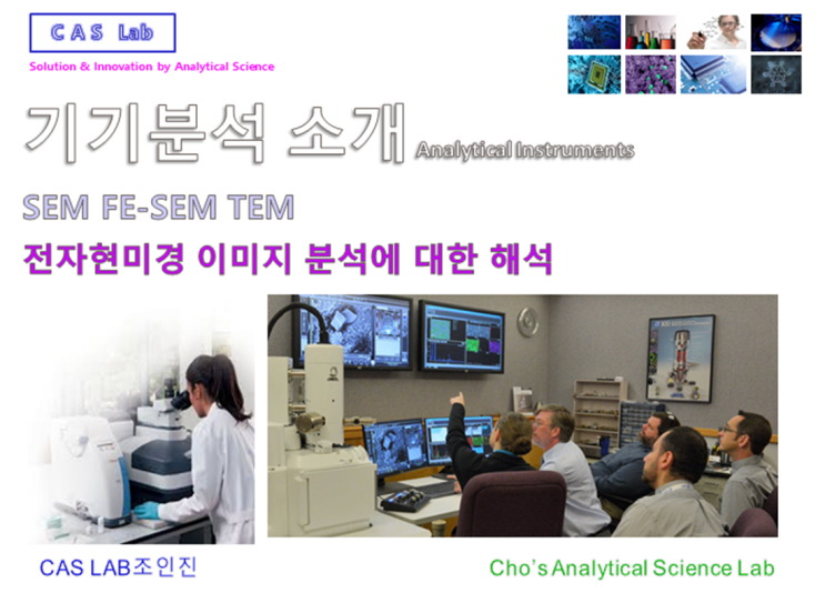 SEM FE-SEM TEM 전자현미경 이미지 분석에 대한 해석 (Feat. SED BED SEI BEI 차이, TEM Domain Size)