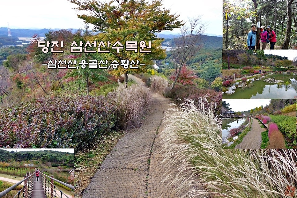 응골산 사진 1