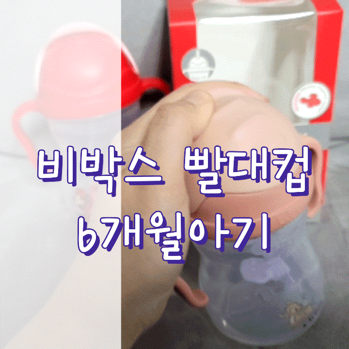  비박스빨대컵 3년사용후기 장단점6개월(내돈내산)
