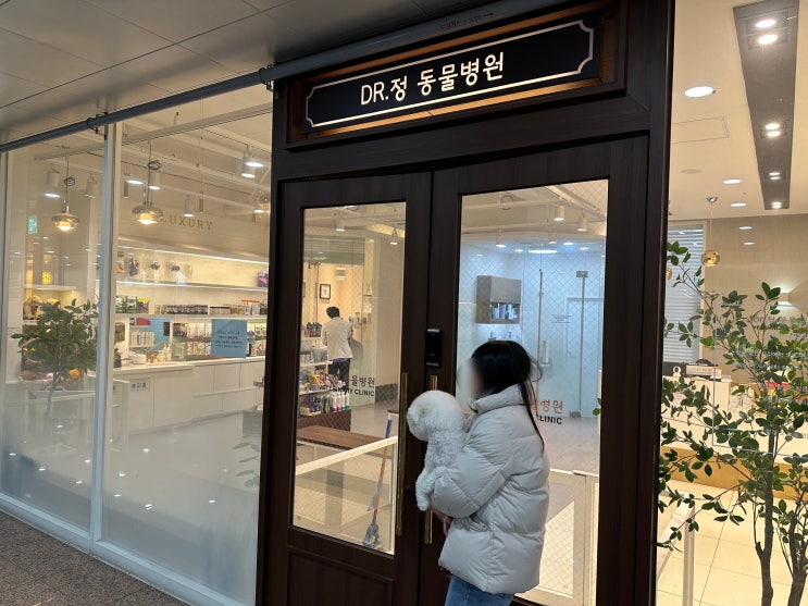  쿤이 허리 통증으로 병원 가다 2탄. 허리 통증, 허리 구부림 원인 찾다. 송도 닥터정 동물병원