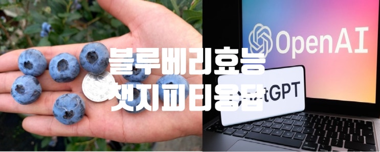  블루베리 품종별 효능 챗지피티 ChatGPT 응답은?!