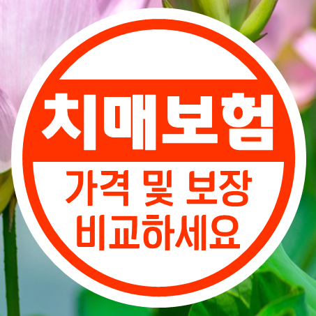  치매보험료 가격 계산 및 경증 치매보험비교 분석 가능한 곳