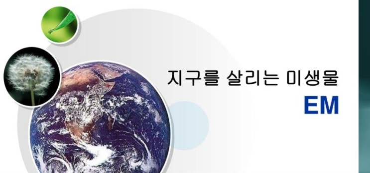  구미시 지구를 위한 미생물 교육 일정