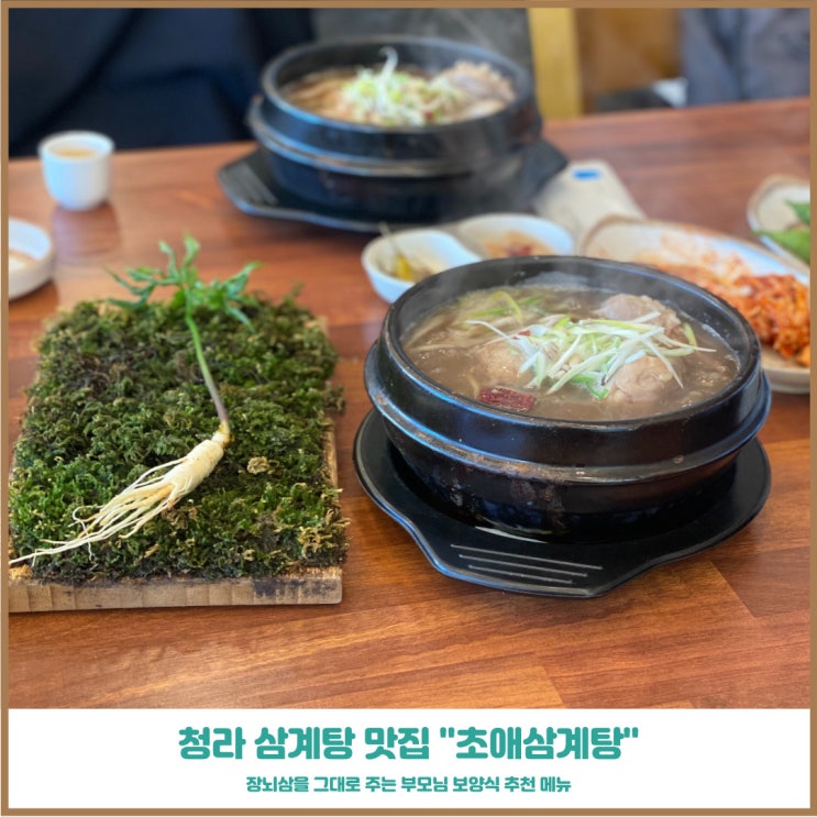 청라맛집 초애삼계탕 장뇌삼하나가 통채로 들어간 보양식