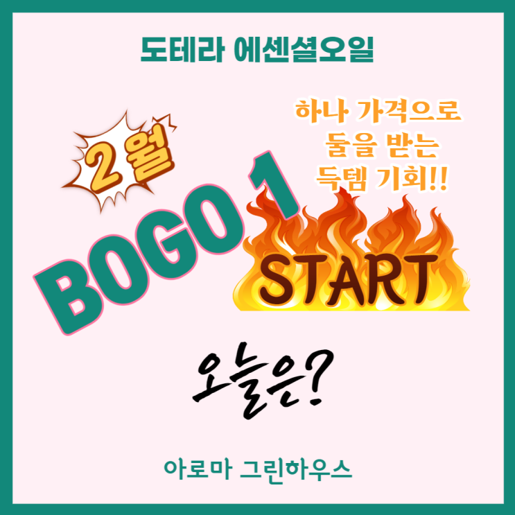  도테라 보고(BOGO) 첫째 날!! 오늘의 오일은?