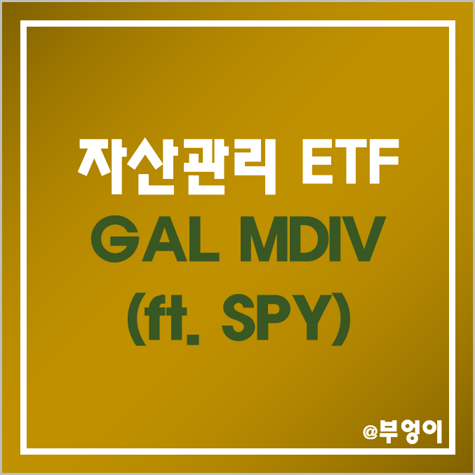 자산관리 미국 ETF - GAL, MDIV 주가 및 배당 수익률 (ft. SPY) 자산관리 미국 ETF - GAL, MDIV 주가 및 배당 수익률 (ft. SPY)