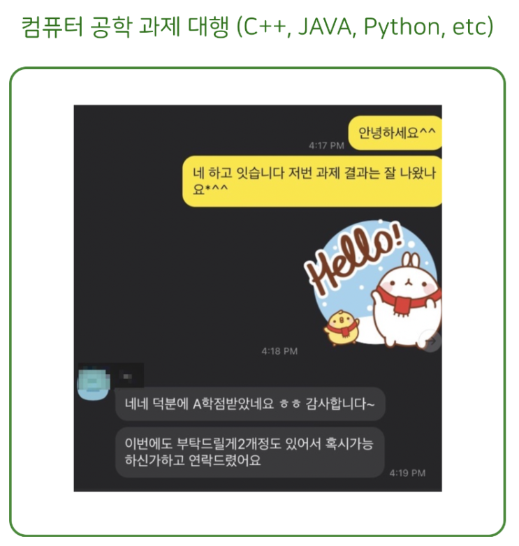  컴퓨터 공학 과제 대행(computer science) - 미국학교