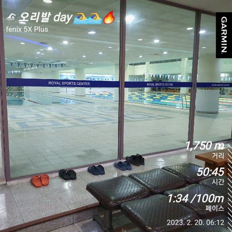  [수영일기] 2월 20일 꼬리물기