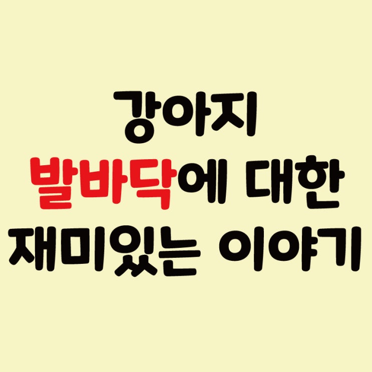  강아지 발바닥에 대한 재미있는 이야기