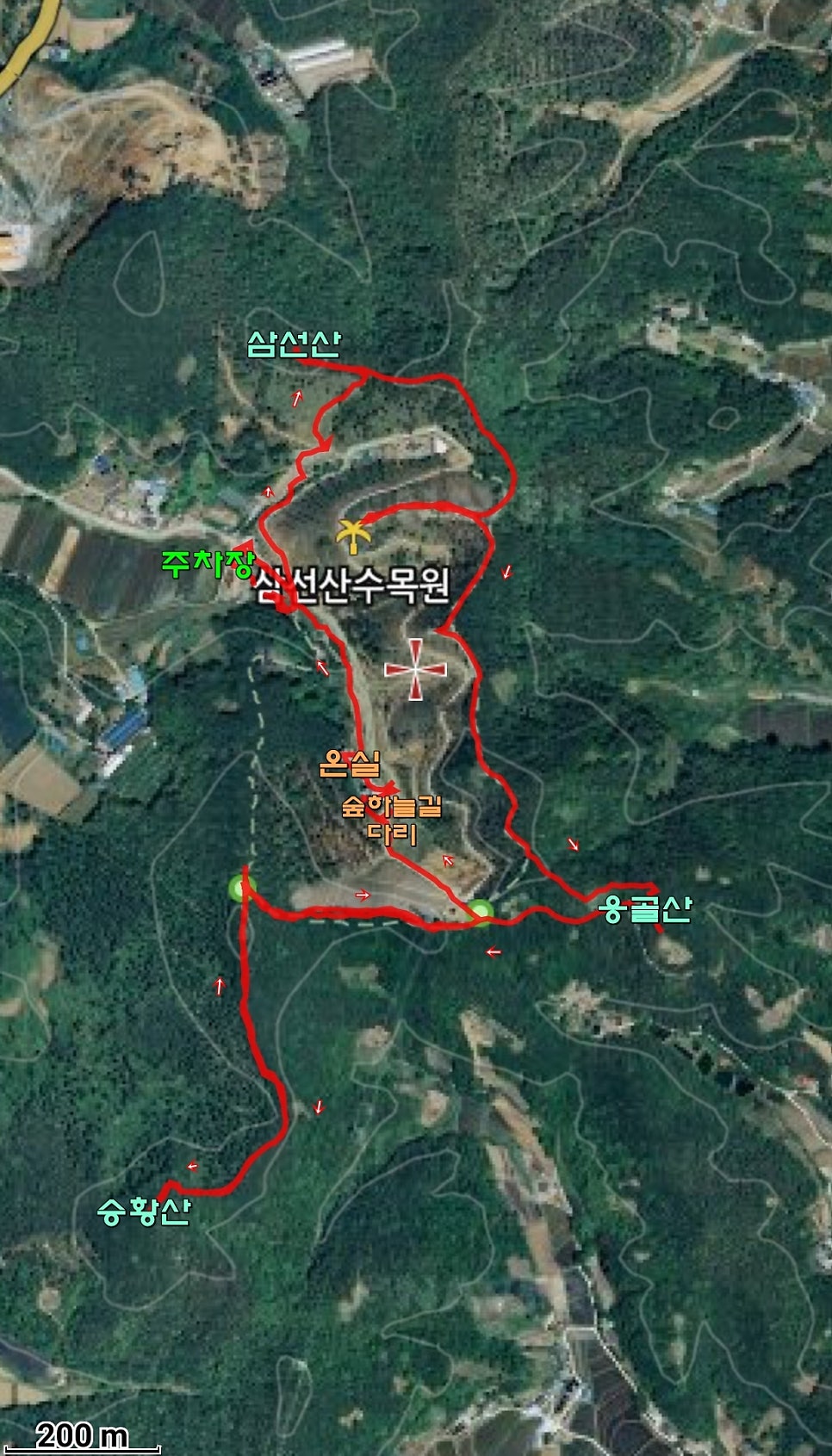 응골산 사진 3