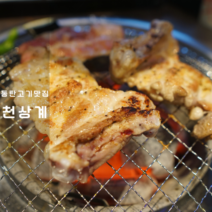  동탄 고기집 천상계 숯불 닭갈비 닭연골