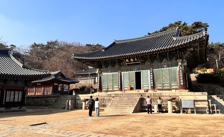  대구 힐링 사찰 여행 팔공산 절 동화사, 거대 통일약사여래대불까지 보고 가세요~ (주차장, 입장요금 정리)