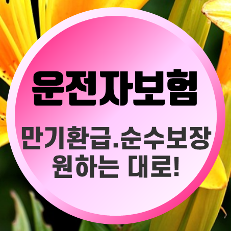  운전자보험 만기환급 및 소멸성 순수보장형운전자보험 보장내용 및 특약