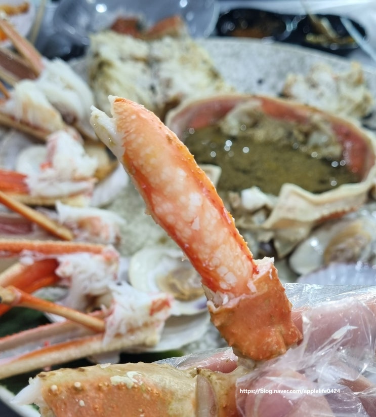  [속초] 대포항 맛집! "대게바다" 식사 솔찍후기 (내돈내산)