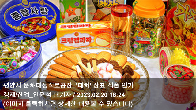"한-아프리카 <b>특별</b><b>정상회의</b> 참석·부산세계박람회 지지 요