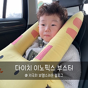 내돈내산 | 다이치 이노픽스 부스터와 캥거루루 안전벨트인형 루띠쿠션