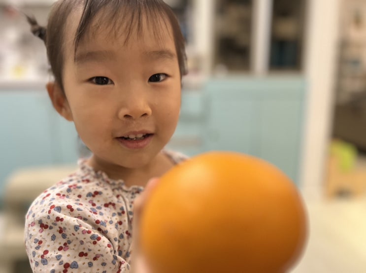  따스한 제주의 햇살을 받고 자라 향긋한 향, 풍부한 과즙으로 입이 즐거운 제주방가네농장 가정용 천혜향