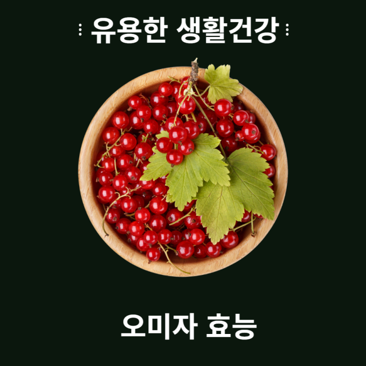  오미자 효능 및 부작용