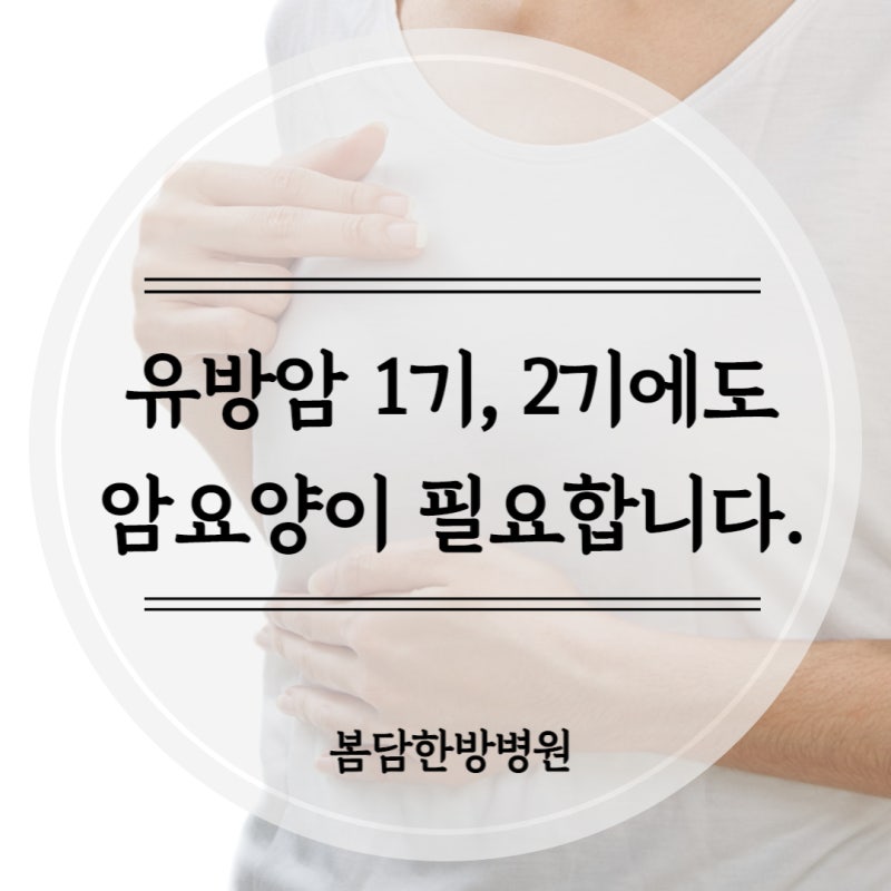 유방암 1기, 유방암 2기 유방암 초기에도 암 요양이 중요합니다.
