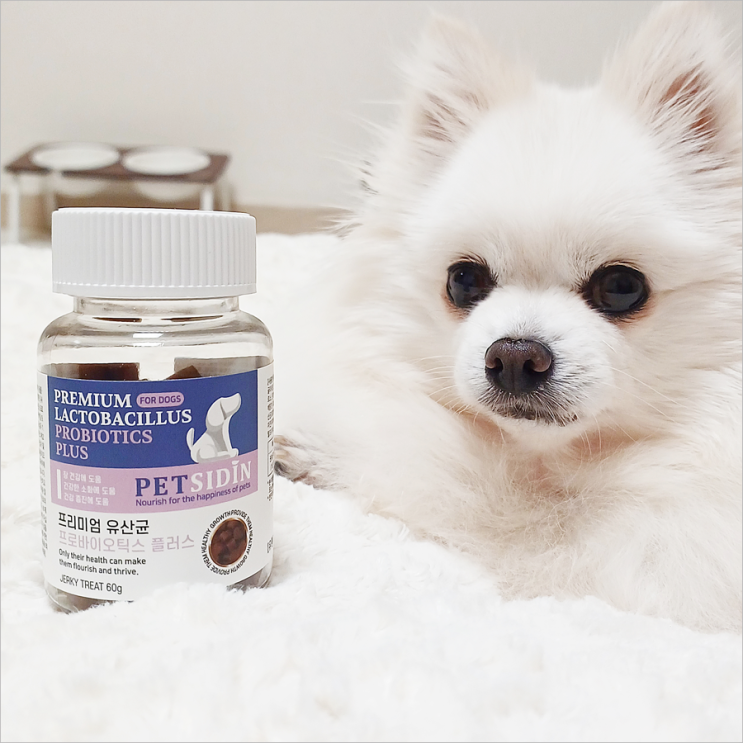 펫시딘 강아지 장건강을 위해 챙기는 반려견 유산균