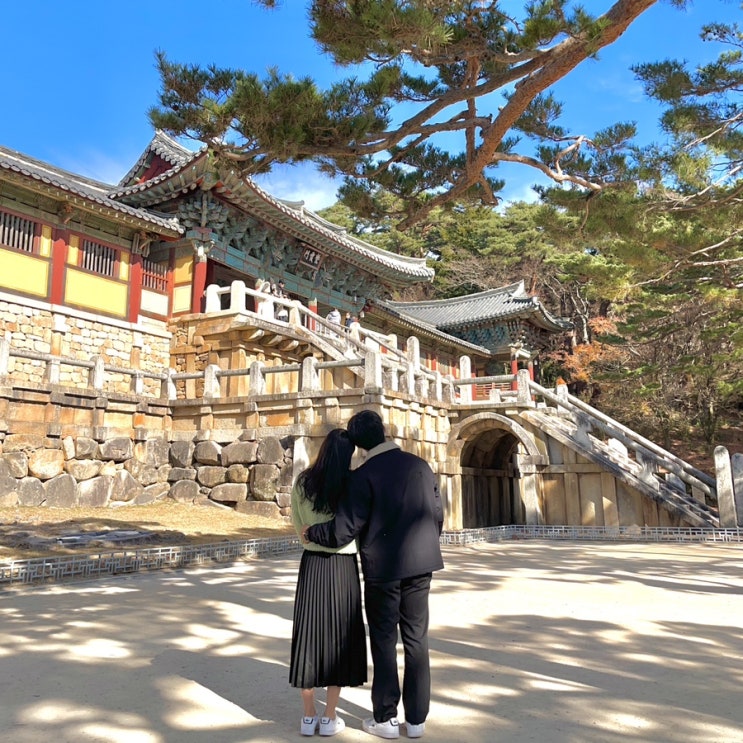  [경주여행 2탄] 경주 대릉원/ 황리단길/ 불국사/ 경주 황리단길 맛집