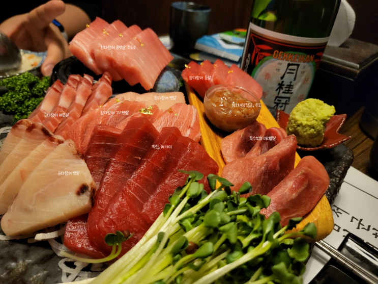 오목교역 참치맛집 [서군참치] 사르르 녹는 맛있는 참치전문점, 참다랑어 등 부위설명도 다정한 목동참치맛집