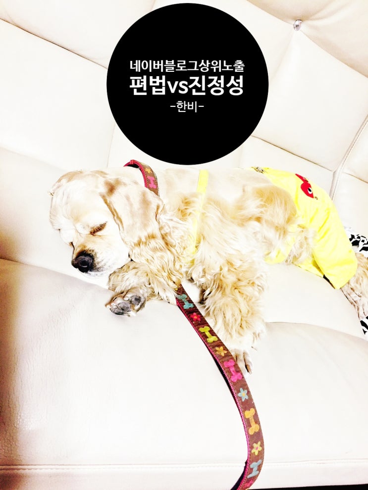  네이버 블로그 상위노출 편법이 아닌 진정성으로