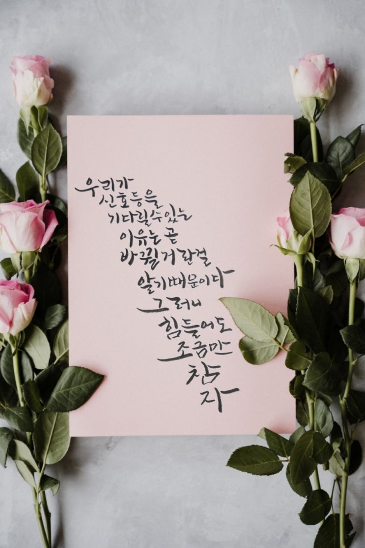  [힐링&마음 치유] 초보의 캘리그라피 좋은 글 -힘들어도 조금만 참자, 글배우
