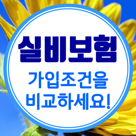 60대실비보험 비용 및 유병력자실손보험 가입조건 비교 해보세요.