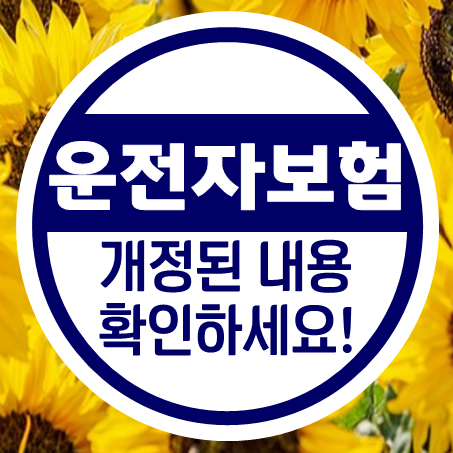  운전자보험료 비교 및 운전자보험 개정된 보상 확인
