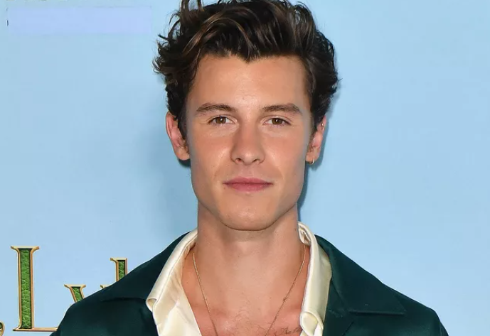 Shawn Mendes는 투어를 취소하는 것이 '매우 어려웠다'고 말했지만 그의 치유 과정은 '눈을 뜨게' 했습니다 Shawn Mendes는 투어를 취소하는 것이 '매우 어려웠다'고 말했지만 그의 치유 과정은 '눈을 뜨게' 했습니다