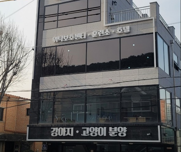  ️수원애견호텔 / 수원고양이호텔 찾고 있으신가요? ️